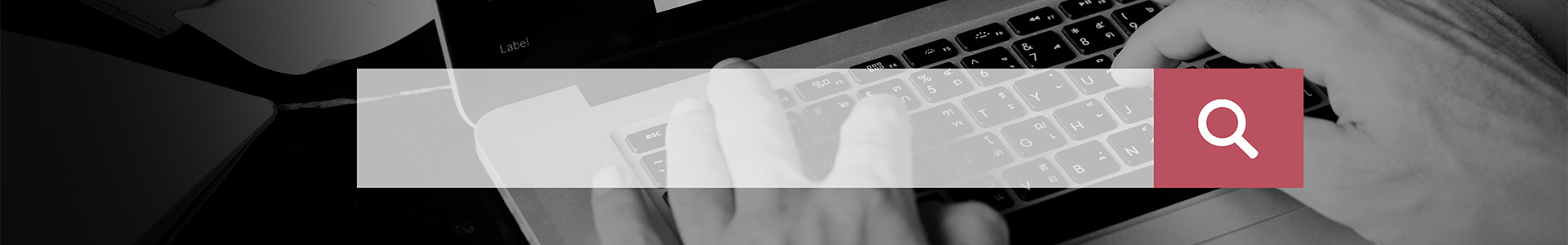 How to Optimise Your Online Marketing for Seasonal Trends | P.tch Digital