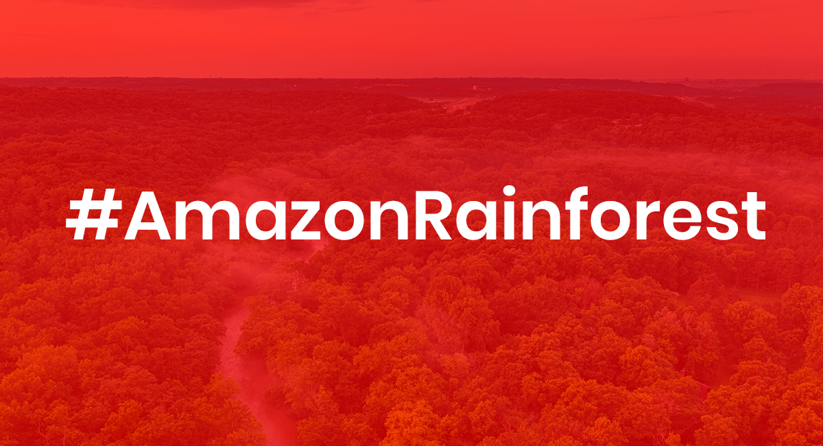 #AmazonRainforest Is No Notre-Dame Without Social Media
