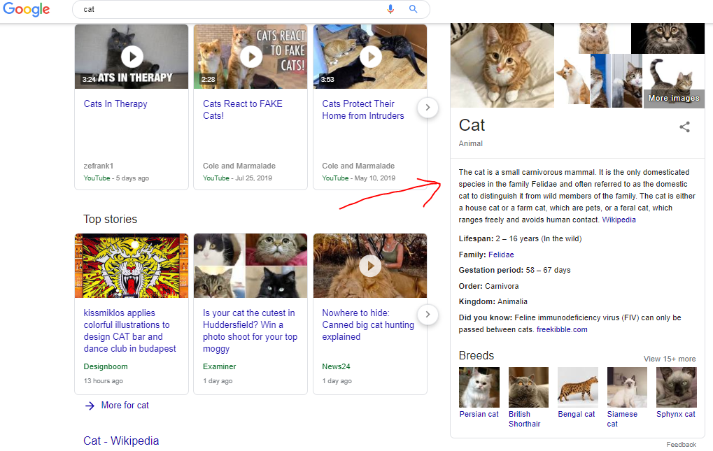 Blog 2 Image 1