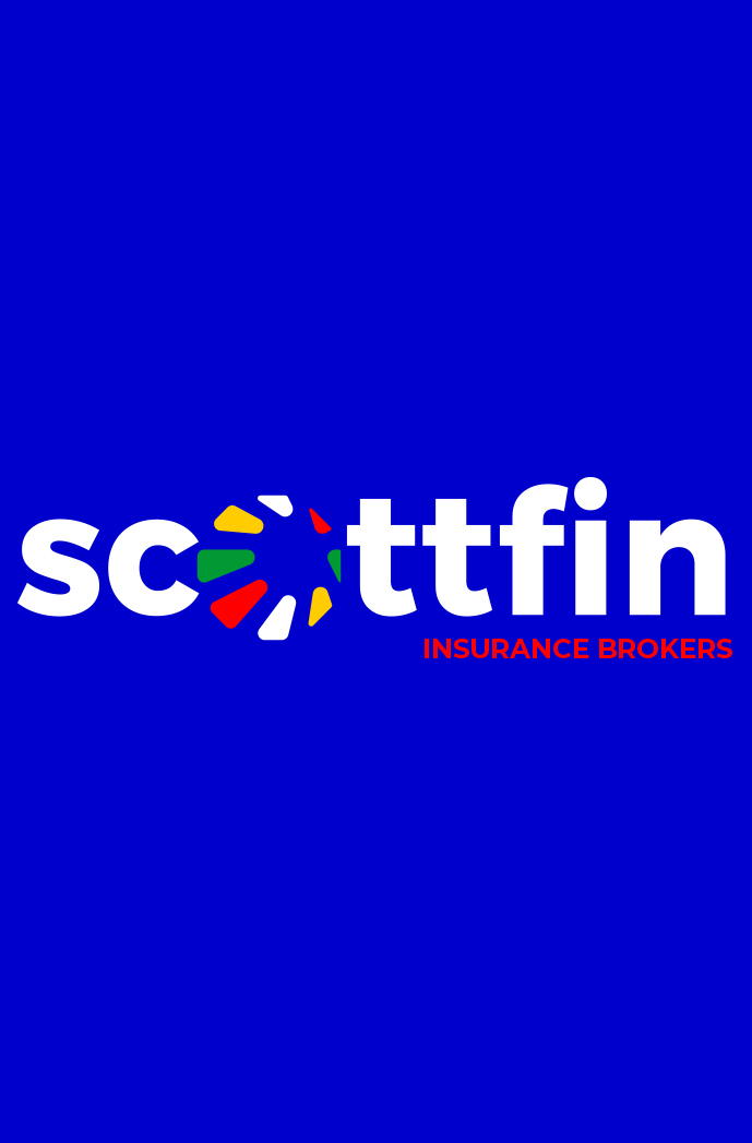 Scottfin brand identity